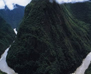 米林后天天气